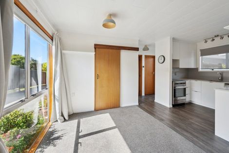 Photo of property in 133 Westminster Avenue, Tamatea, Napier, 4112