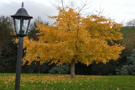 Photo of property in 27 Francis Place, Warkworth, 0984