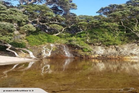 Photo of property in 212 Russell Bruce Place, Onemana, Whangamata, 3691