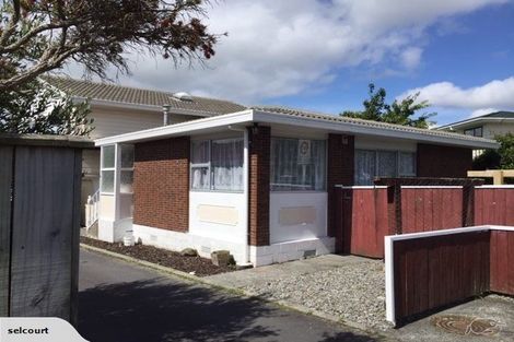 Photo of property in 1/4 Frederick Street, Avalon, Lower Hutt, 5011