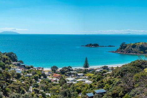 Photo of property in 41 Miro Road, Palm Beach, Waiheke Island, 1081