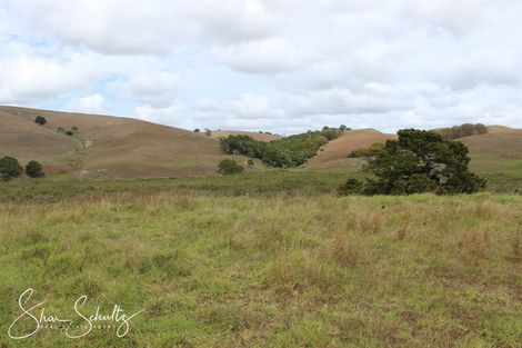 Photo of property in 215c Heatley Road, Whakapirau, 0583