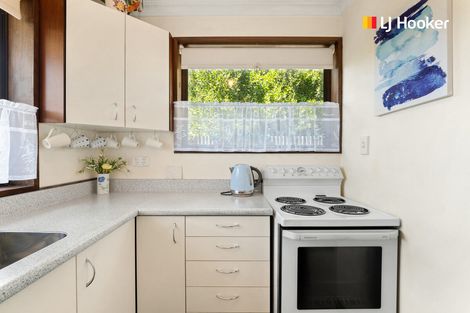 Photo of property in 13b Grove Street, Saint Kilda, Dunedin, 9012