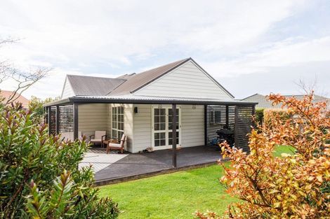 Photo of property in 30 Vista Drive, Feilding, 4702