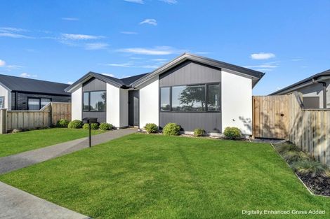 Photo of property in 63 Pegasus Main Street, Pegasus, 7612