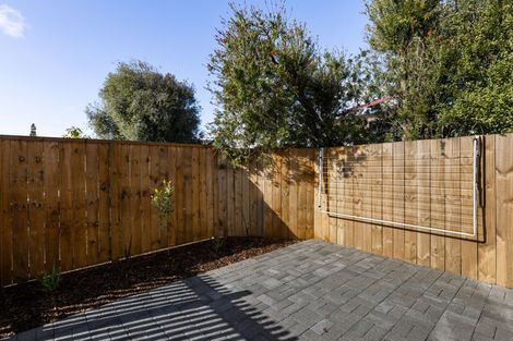 Photo of property in 73b Norton Road, Frankton, Hamilton, 3204