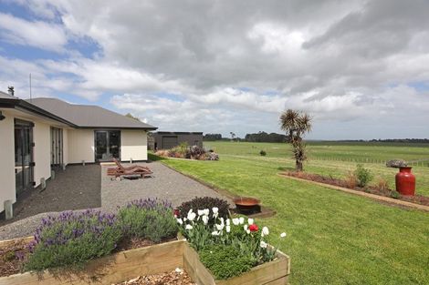 Photo of property in 466 Jeffersons Line, Marton, 4788