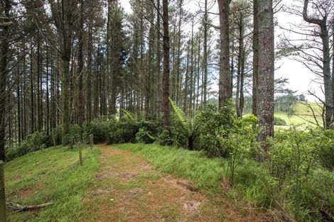 Photo of property in 325 Kaipi Road, Hillsborough, New Plymouth, 4372