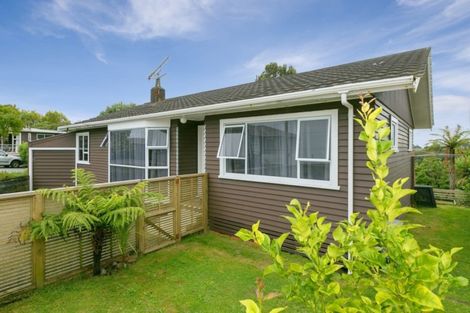 Photo of property in 19 Clyde Street, Ferndale, New Plymouth, 4310