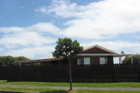 Photo of property in 213 Finlayson Avenue, Clendon Park, Auckland, 2103