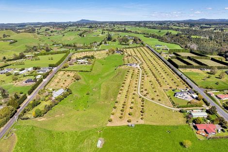 Photo of property in 390 Hereford Road, Oropi, Tauranga, 3173
