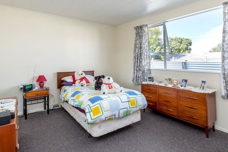 Photo of property in 45 Harley Street, Solway, Masterton, 5810