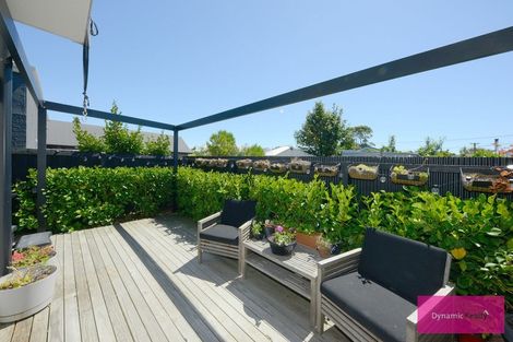 Photo of property in 67 Essex Street, Phillipstown, Christchurch, 8011