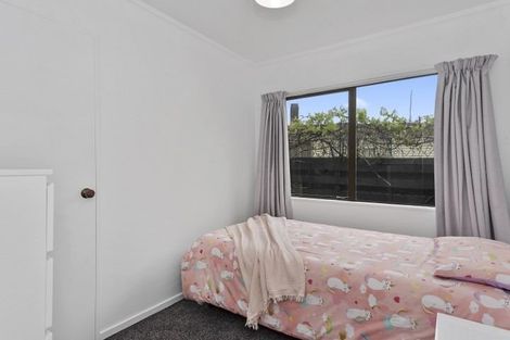 Photo of property in 8a Park Terrace, Hamilton Central, Hamilton, 3204