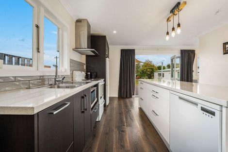 Photo of property in 33 Camden Street, Feilding, 4702