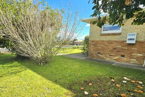 Photo of property in 39 East Avenue, Te Aroha, 3320