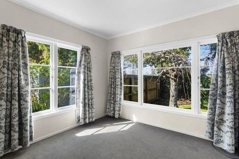 Photo of property in 17 Brown Street, Hamilton East, Hamilton, 3216