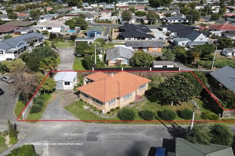 Photo of property in 19 Storey Avenue, Forest Lake, Hamilton, 3200