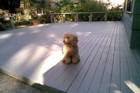 Photo of property in 19 Hiwihau Place, Glenfield, Auckland, 0629