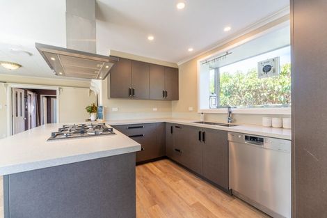 Photo of property in 32 Usk Street, Marchwiel, Timaru, 7910