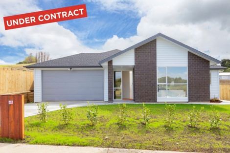 Photo of property in 46 John Andrew Drive, Warkworth, 0910