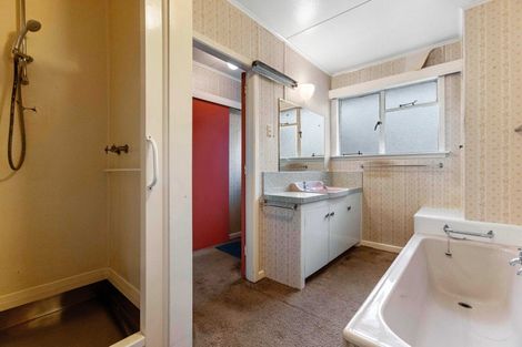 Photo of property in 16 Chapple Street, Alexandra, 9320