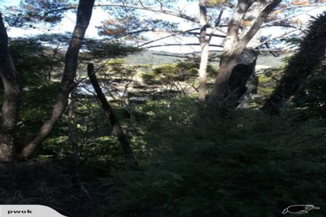 Photo of property in 1455 Port Charles Road, Port Charles, Coromandel, 3584