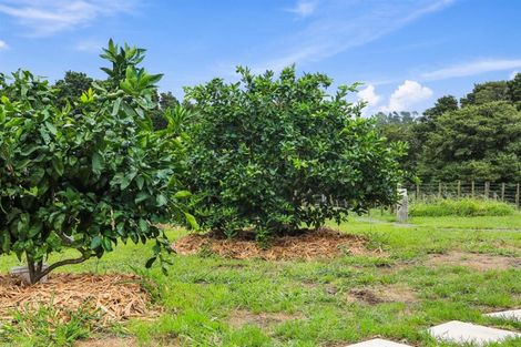 Photo of property in 569 Tomarata Valley Road, Whangaripo, Wellsford, 0974