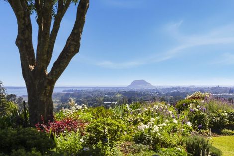 Photo of property in 179b Crawford Road, Minden, Tauranga, 3171