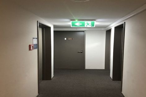 Photo of property in Dual Apartments, 301/142 Vivian Street, Te Aro, Wellington, 6011