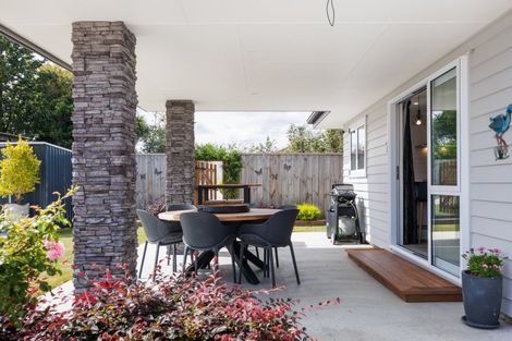 Photo of property in 15b Chamberlain Street, Feilding, 4702