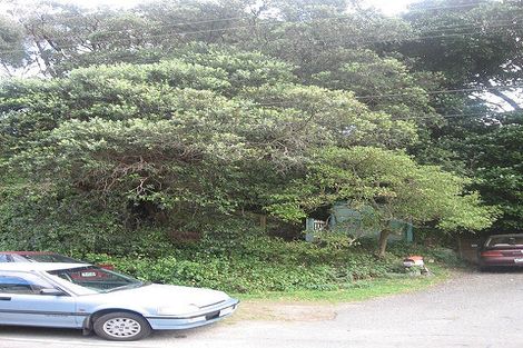 Photo of property in 47a Wellington Road, Paekakariki, 5034