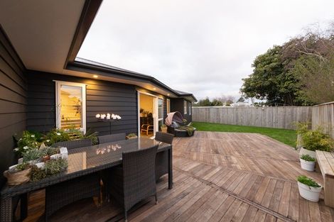 Photo of property in 68b Manson Street, Terrace End, Palmerston North, 4410