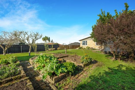 Photo of property in 25 Young Street, Morrinsville, 3300