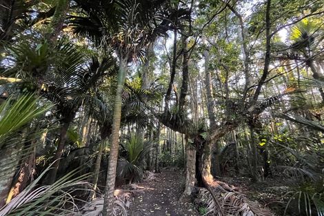 Photo of property in 408 Twilight Road, Brookby, Auckland, 2576