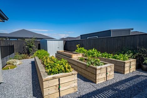 Photo of property in 2 Ayrshire Street, Appleby, Richmond, 7020