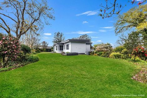 Photo of property in 35 Seyton Street, Stratford, 4332