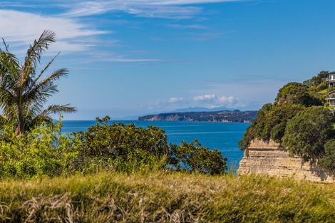 Photo of property in 3 Elgin Place, Red Beach, 0932