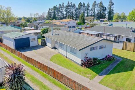 Photo of property in 6 Matipo Place, Edgecumbe, 3120