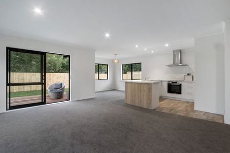 Photo of property in 5d Mangatoetoe Street, Waihi, 3610