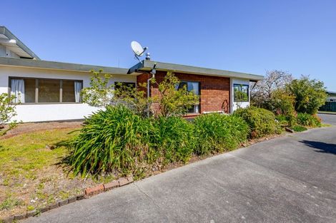 Photo of property in 1/11 Goodger Street, Waipukurau, 4200