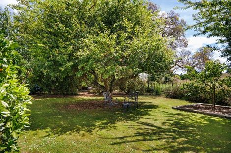 Photo of property in 6 Griffins Road, Marton, 4788