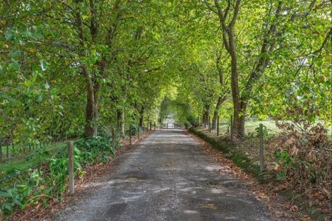 Photo of property in 73 Wakefield Road, Levin, 5571