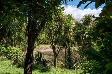 Photo of property in 77 Adler Drive, Ohauiti, Tauranga, 3112