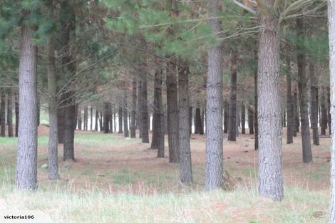 Photo of property in 62 Quarry Road, Loburn, Rangiora, 7472