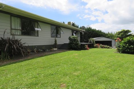 Photo of property in 244 Tinopai Road, Matakohe, 0593