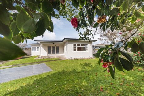 Photo of property in 22 Liverpool Street, Takaro, Palmerston North, 4412