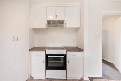 Photo of property in 345 Tremaine Avenue, Takaro, Palmerston North, 4412