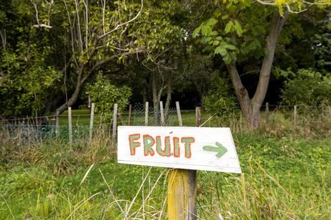 Photo of property in 47 Bush Road, Tuamarina, Blenheim, 7273