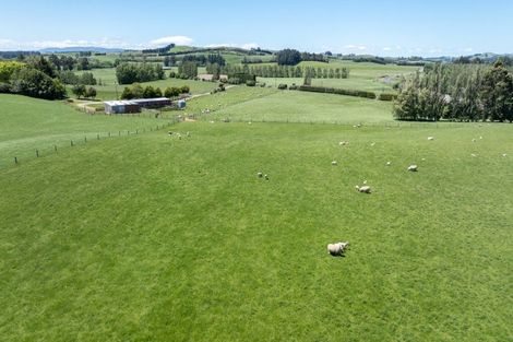 Photo of property in 23 Waikaka Valley Highway, Willowbank, Gore, 9771